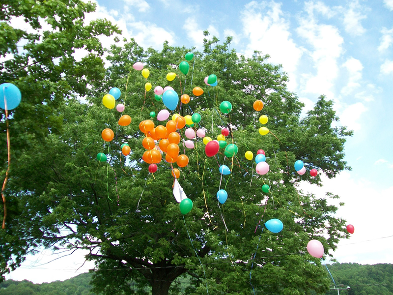 Balloons in Tree SAP